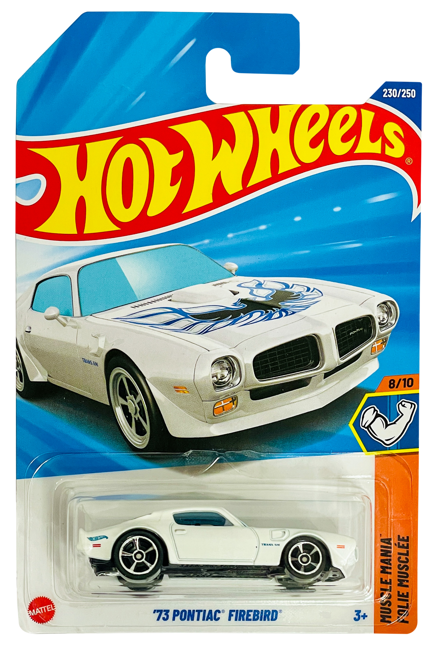 73 PONTIAC FIREBIRD