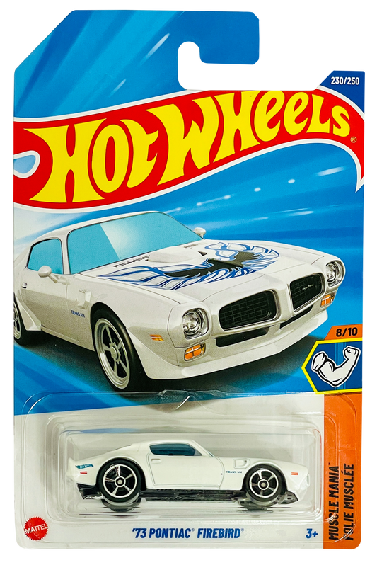 73 PONTIAC FIREBIRD